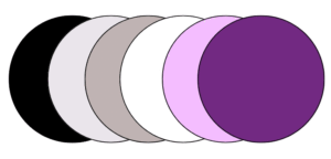 colours-best-digital-marketing-analyst-in-calicut