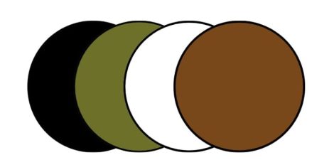 Best Digital Marketing Analyst in Calicut